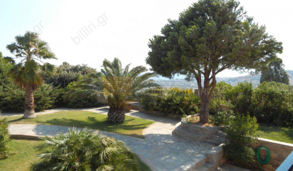 Κήπος - Garden